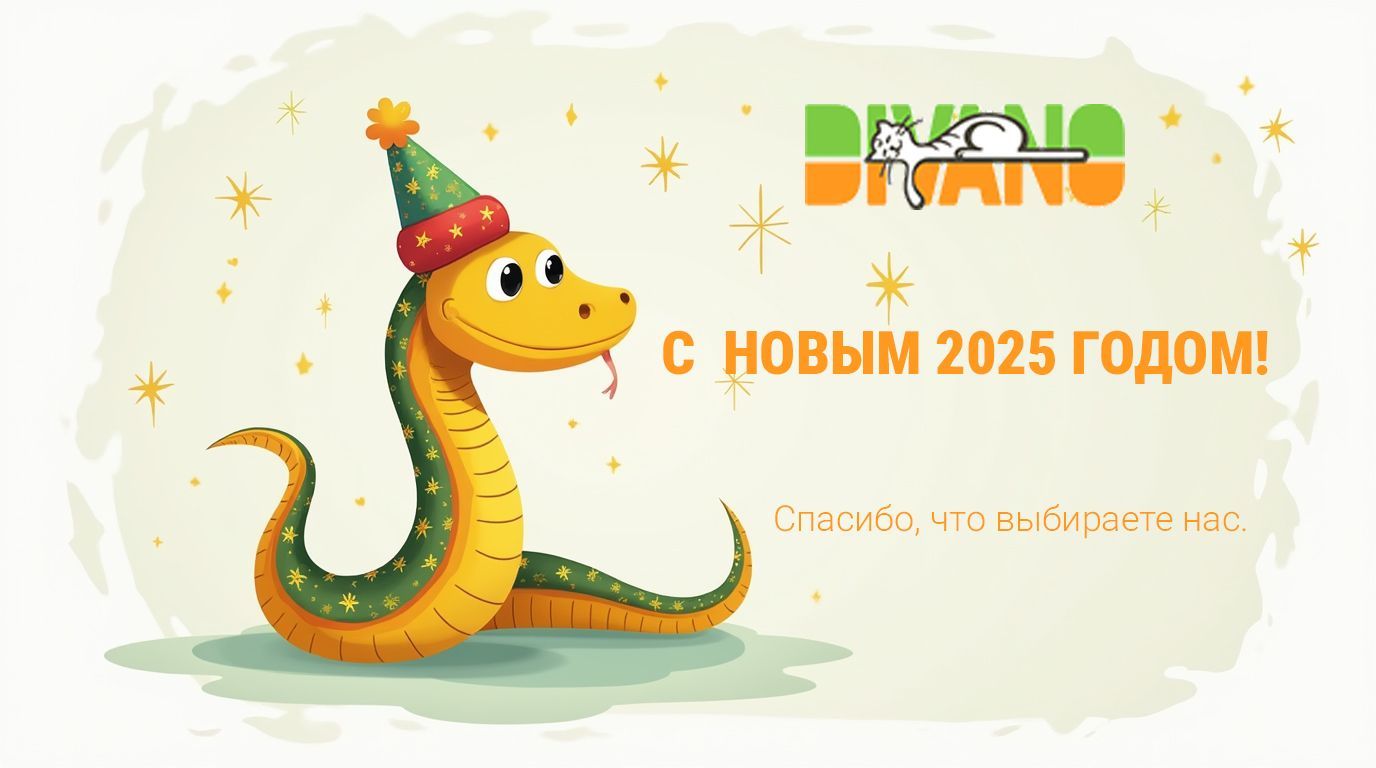 С Новым 2025 Годом!