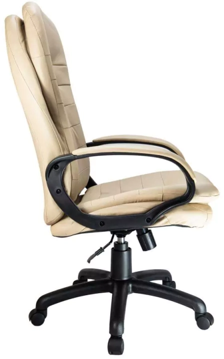 Кресло Riva Chair RCH 1195 PL, Бежевый