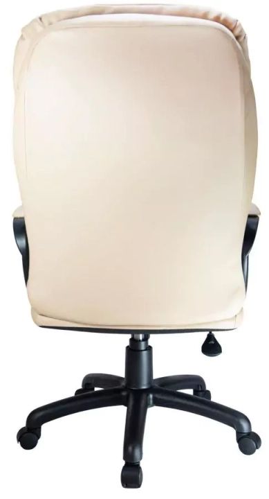 Кресло Riva Chair RCH 1195 PL бежевое4